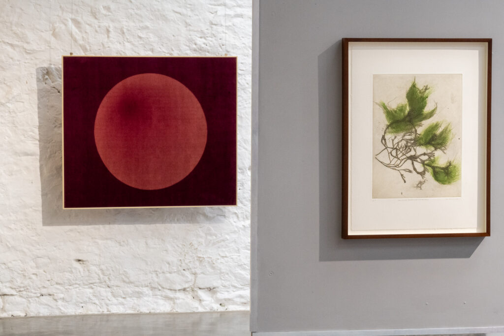 Artworks installed at Space to Breathe: Land & Sea